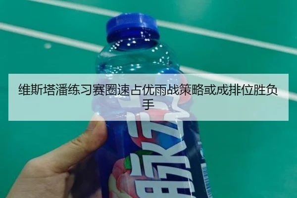 维斯塔潘练习赛圈速占优雨战策略或成排位胜负手